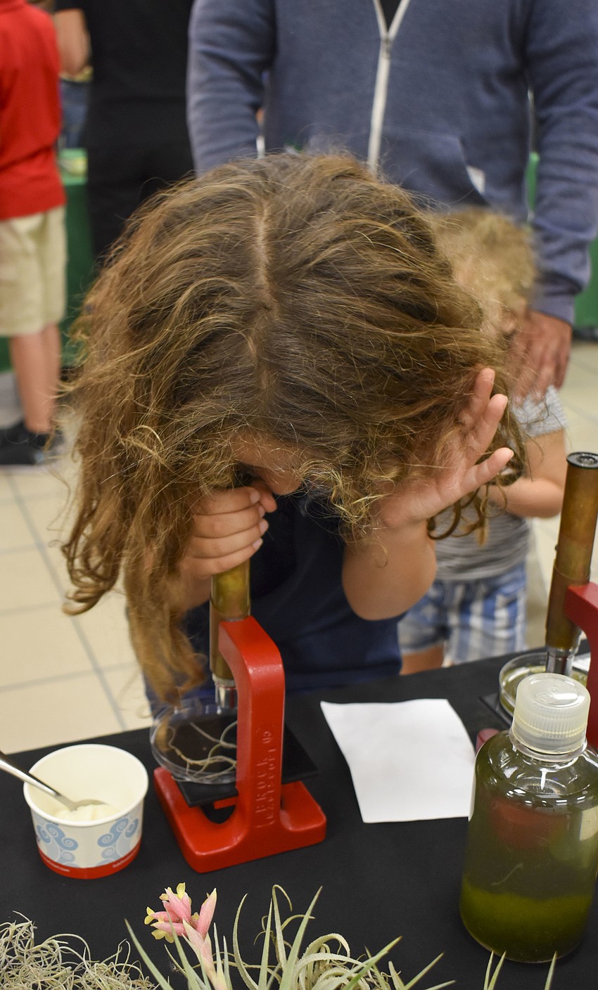 Olivia Mendez, 6, looks through a microscope.