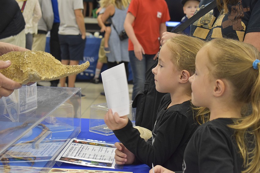 Twins Gaines and Grier Turnball, 7, learn about starfish at the Mote Marine Laboratory booth.