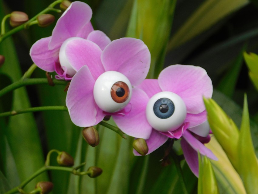 As visitors move from one large vignette to another, they should keep an eye out for smaller touches added to create a Dalí dreamsape. (Klint Lowry)