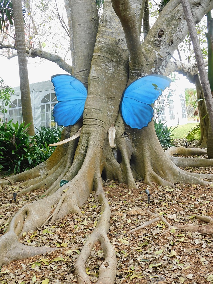 Giant butterfly wings and palm leaf ribs form an elephant in a fig tree.(Klint Lowry)