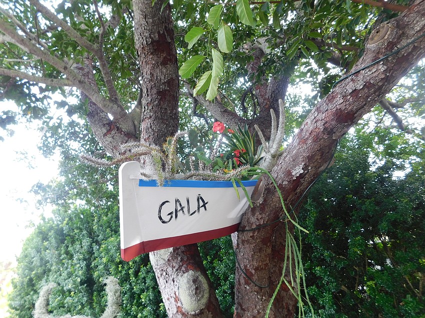 A boat filled with cactus perched in a tree is very Dalí in itself. The added touch is in the name 