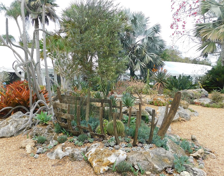 An olive tree growing from the skeletal remains of a boat is a re-creation of a bit of landscaping Dalí had at his home. A photo of it can be seen in the Museum of Botany and the Arts.