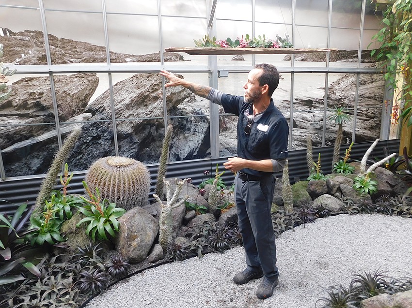 Greenhouse manager Angel Lara describes a vignette that incorporates photographic images of Dalí's home in coastal Spain.