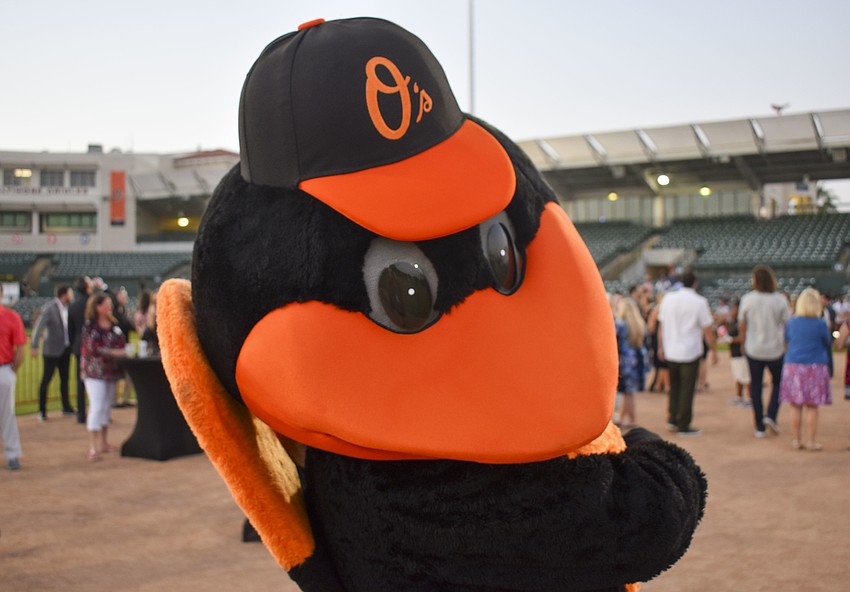 The Oriole Bird strikes a pose.