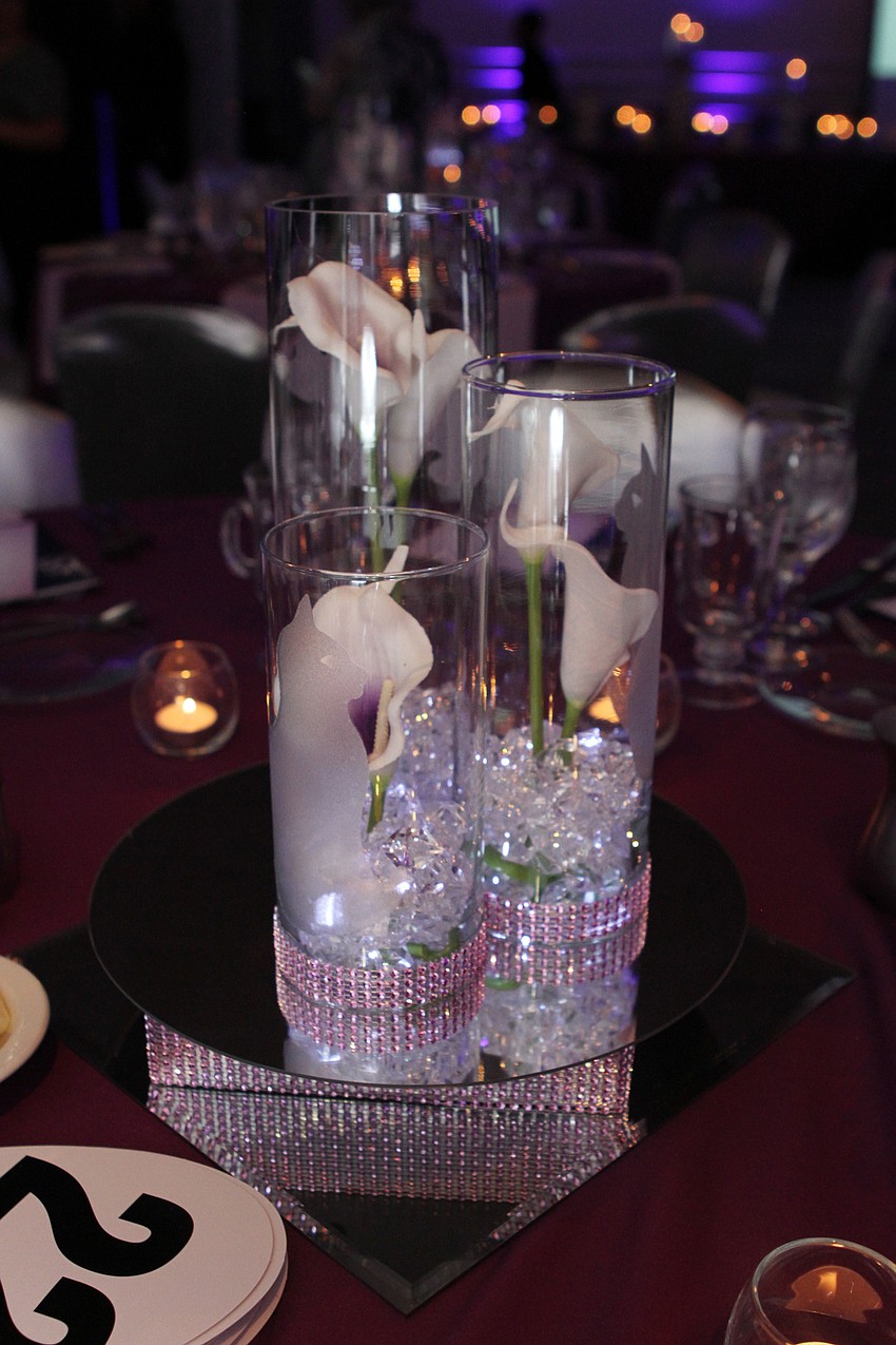 Hundreds supported Animal Rescue Coalition's mission.