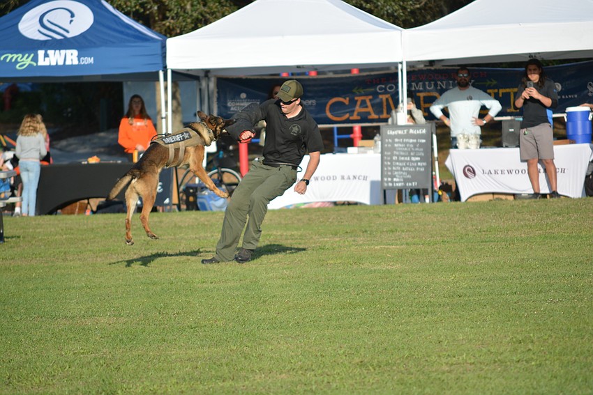 The Manatee County Sheriff's Office K9 unit demonstrated how it captures suspects.