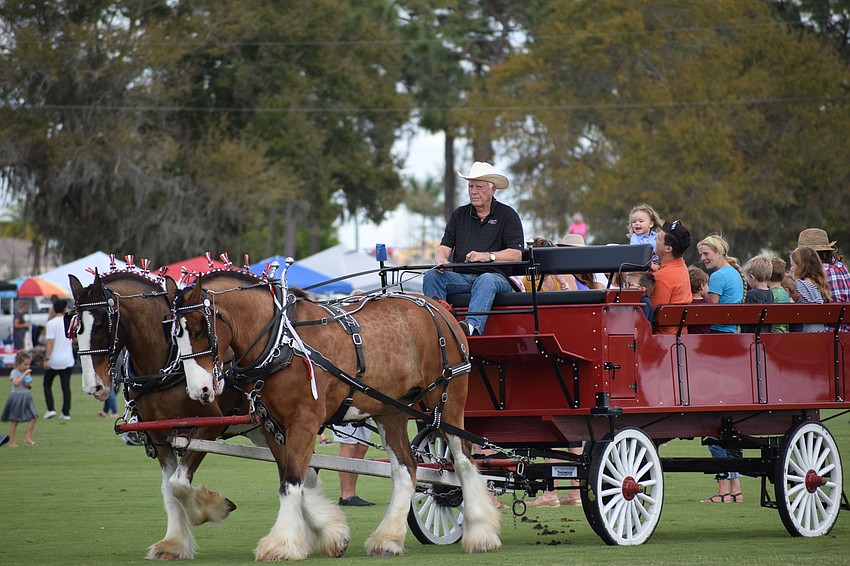 As always, a ride aboard the Clydesdales wagon was a big hit at halftime.
