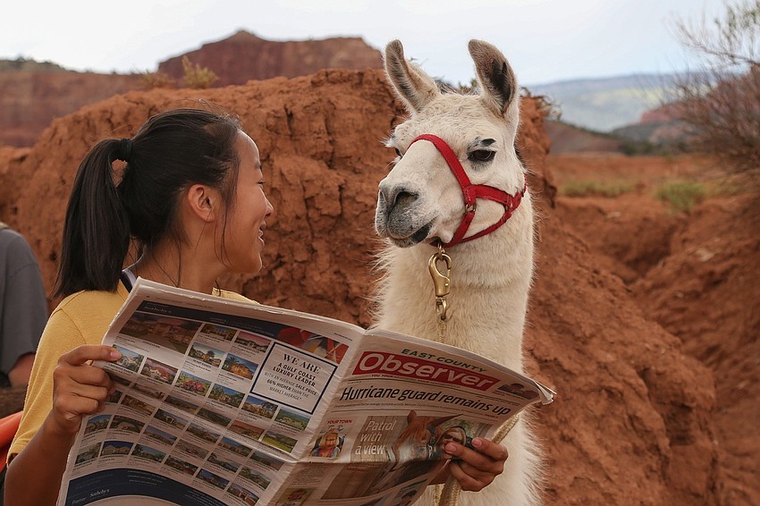 National Park, Utah | Abby Ganley & Tokyo