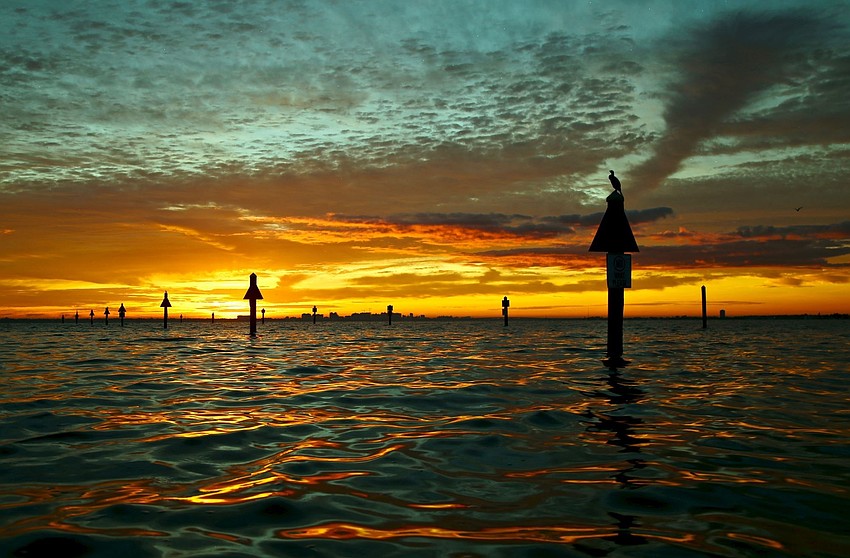 The Moorings marina, Longboat Key | John Caviglia