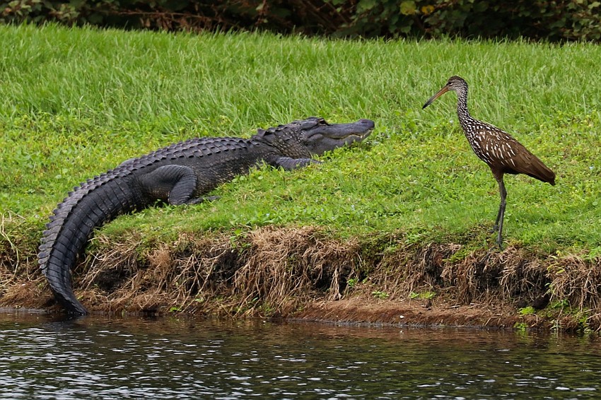 Rye Wilderness | Richard Bottorff