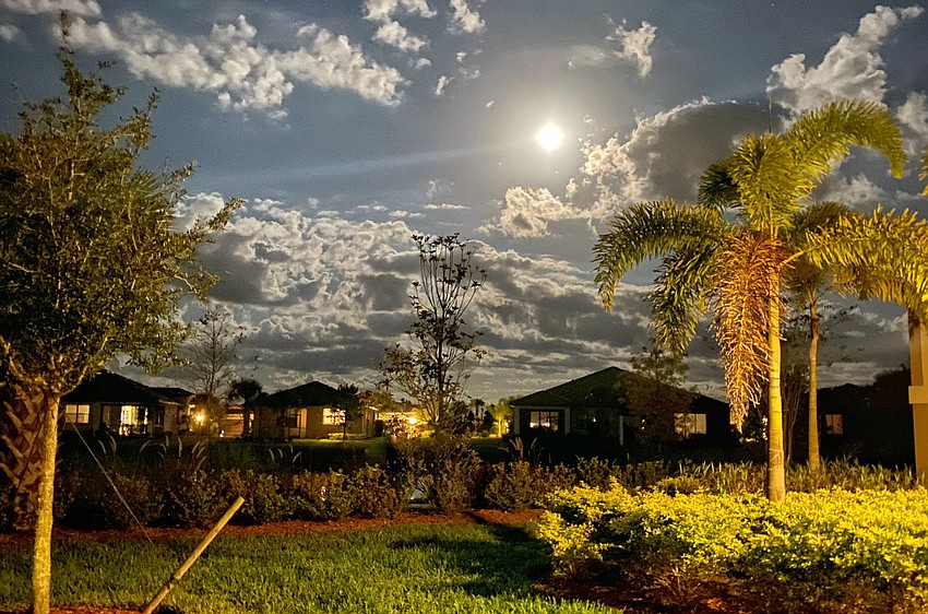 Del Webb at Lakewood Ranch | Sharon Piotrowski