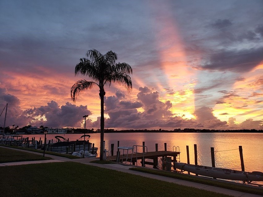 Sarasota Sunset | Lyn Riley