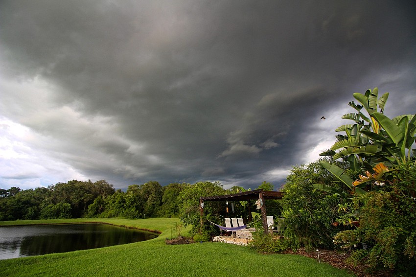 The rainy season | Richard Bottorff