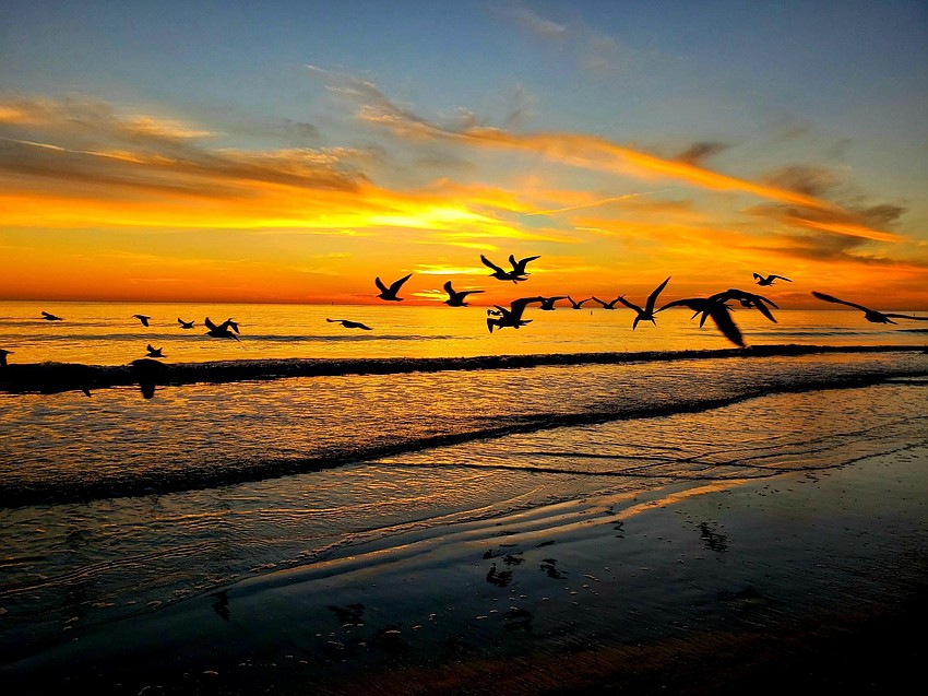 Siesta Key Beach | Nick Charalambous