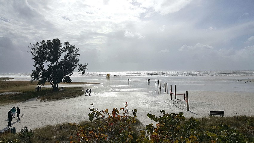 Taken at Siesta Key Beach while waiting for sunset | Loeky Salvini