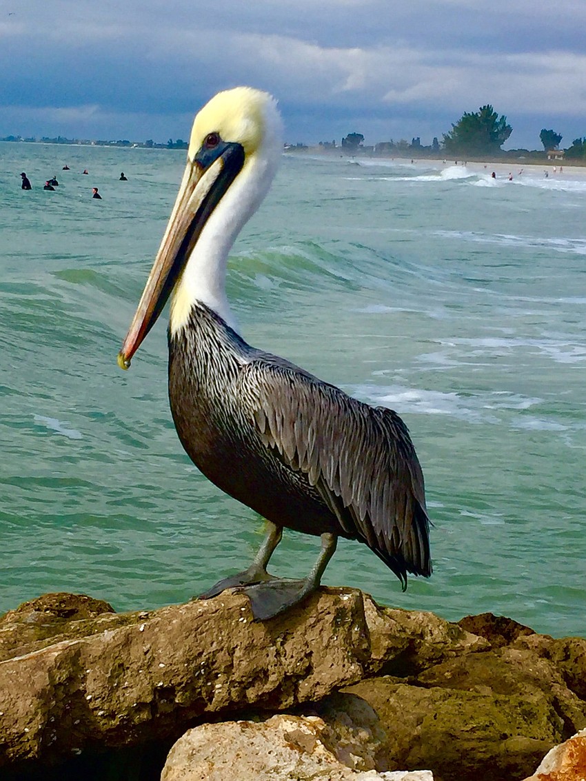Nokomis beach jetty | Allyson Galuska