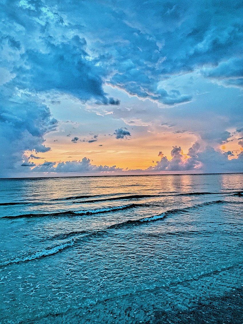 SeaPlace in Longboat Key Florida | Elizabeth Walsh