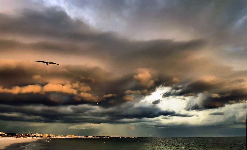 Siesta Key storm clouds with birds in flight | Pepsi Freund