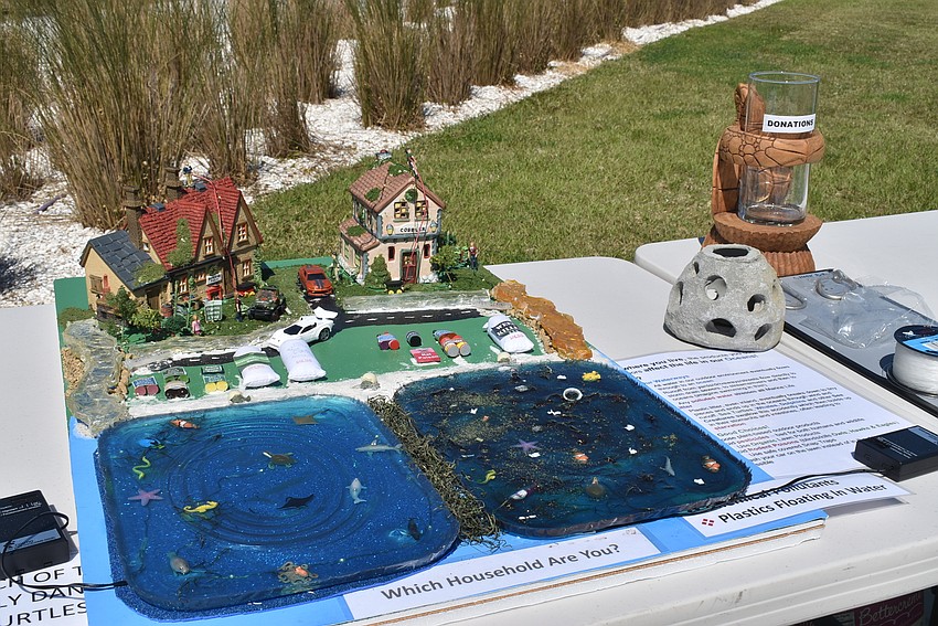 The Longboat Key Turtle Watch