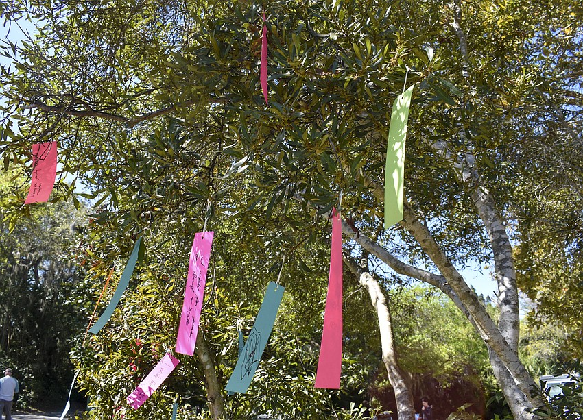Guests could write down their wishes and tie them to the wish tree.
