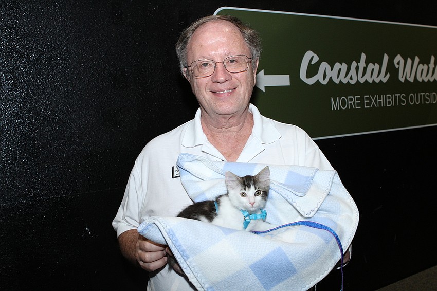 The event had adoptable kittens.