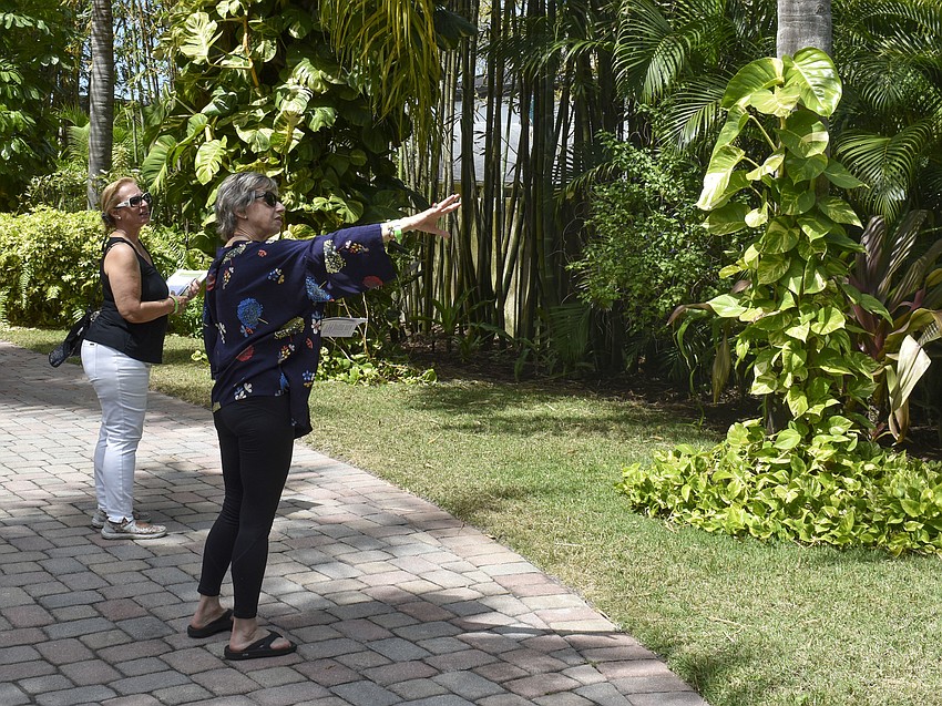 Debra Hirsh points out a plant she likes to Sharon Schiff.