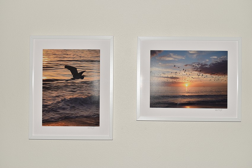 17 years of exhibits  70 total exhibits   104 different artists  1,382 pieces of individual art