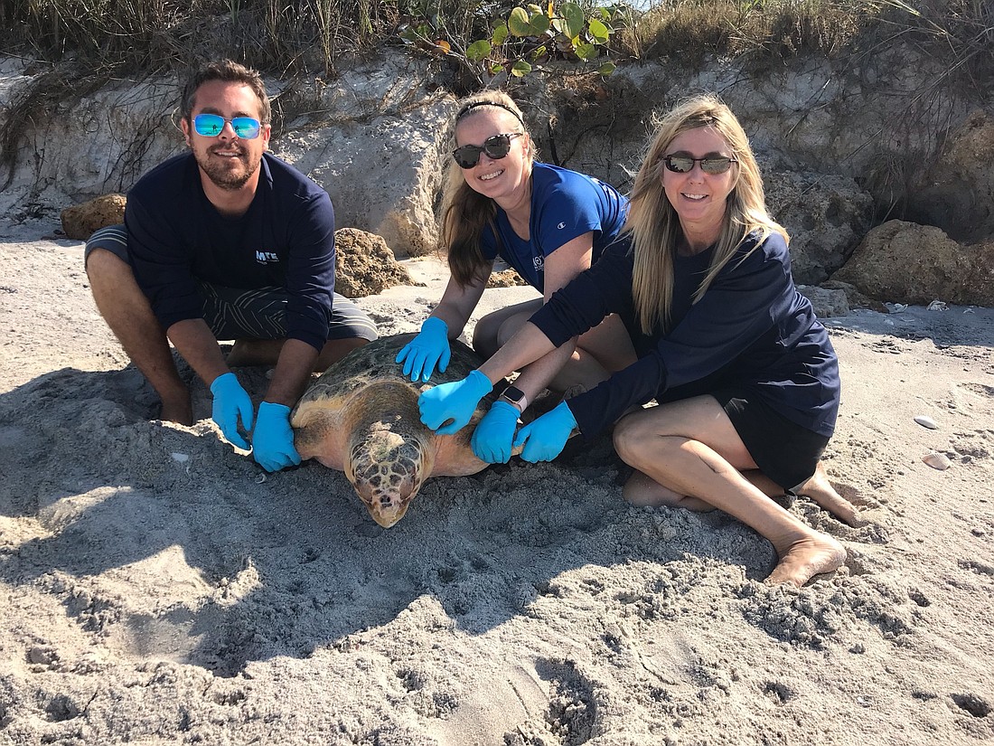 Weston Spoon, Courtney Hessell and Lynne Byrd  with loggerhead sea turtle Chipi.