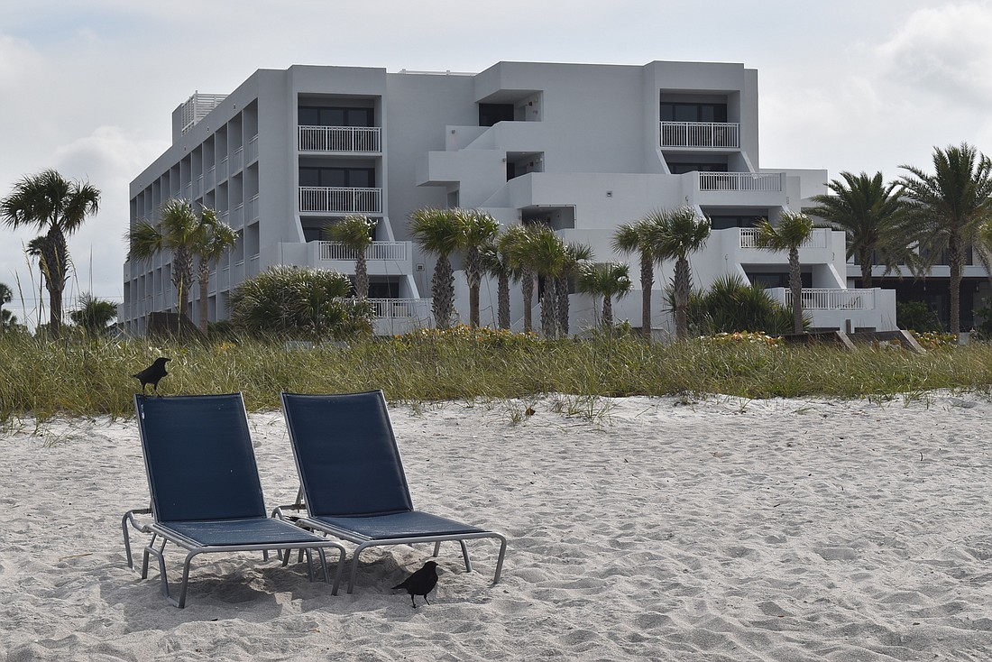 On the hotel&#39;s beach, the chairs are utilized only by wildlife.