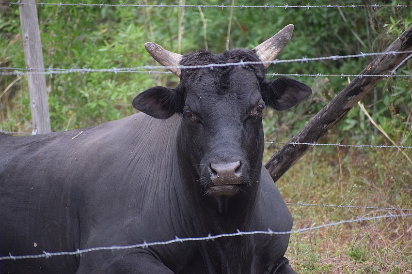 If you think you are unhappy with your quarantine, look at this guy.