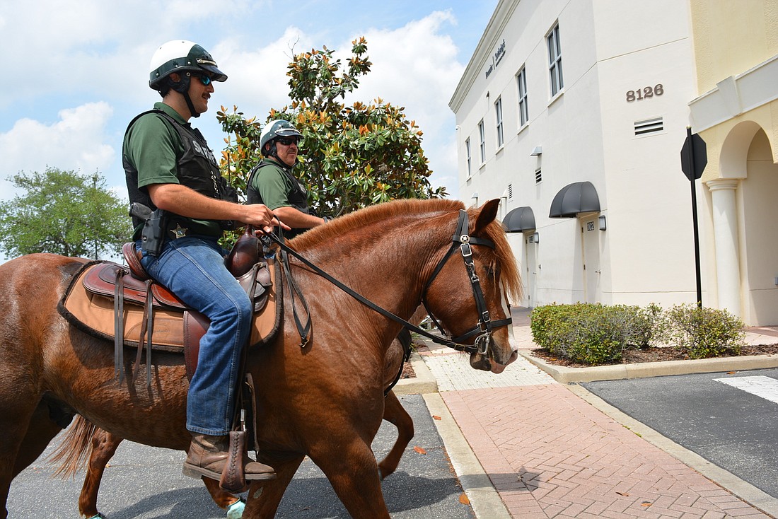 Jaxon, ridden by Manatee County Sheriff&#39;s Office Deputy Zach Bradley, is one of the newest horses on the Mounted Patrol Unit. Behind them is Deputy Kevin Vreeland on Gunny.