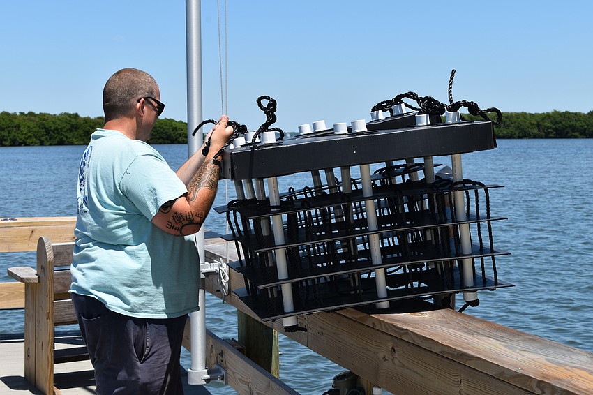 Ocean Habitat Inc. executive director David Wolff prepares to lower a Mini Reef into the water.