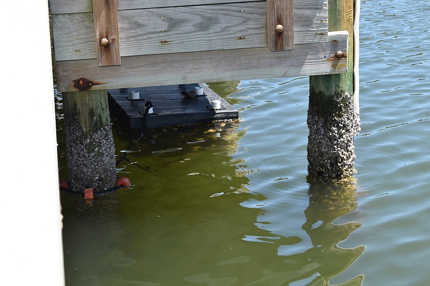 A Mini Reef that has already been installed at Longboat Harbor Condominium is pictured.