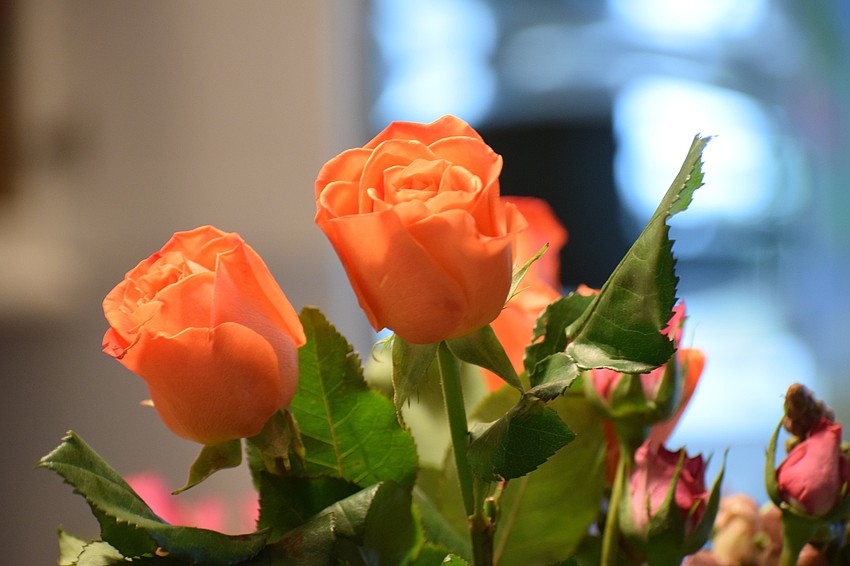 Flowers are delivered to 22 Robert E. Willis Elementary School teachers for a virtual flower arrangement class.