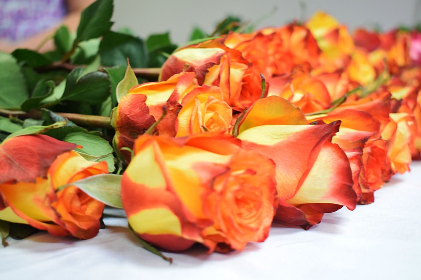 Oasis Church hands out roses to each mother during its drive-thru Mother's Day portrait event.