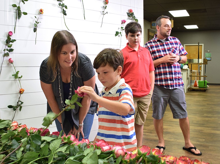 Lakewood Ranch's Alison Coppola watches her 7-year-old son, Zachary, pick out a rose for her after taking a photo with him and her 10-year-old son Nathan and husband Chris.
