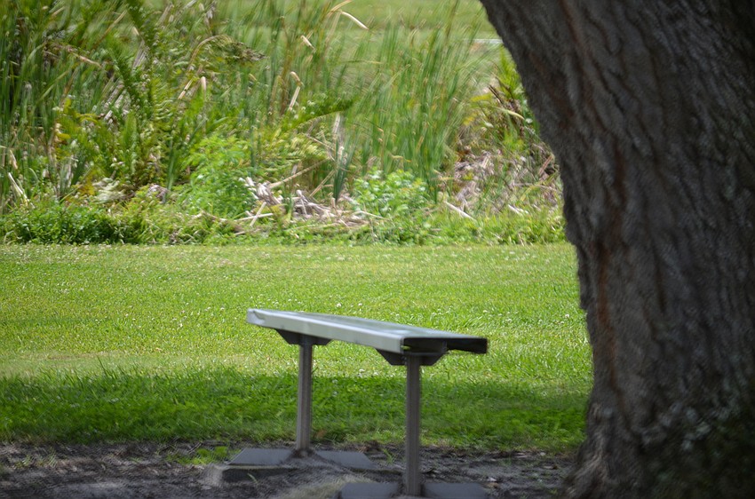Few visitors were at Bobby Jones Golf Club around midday Saturday.