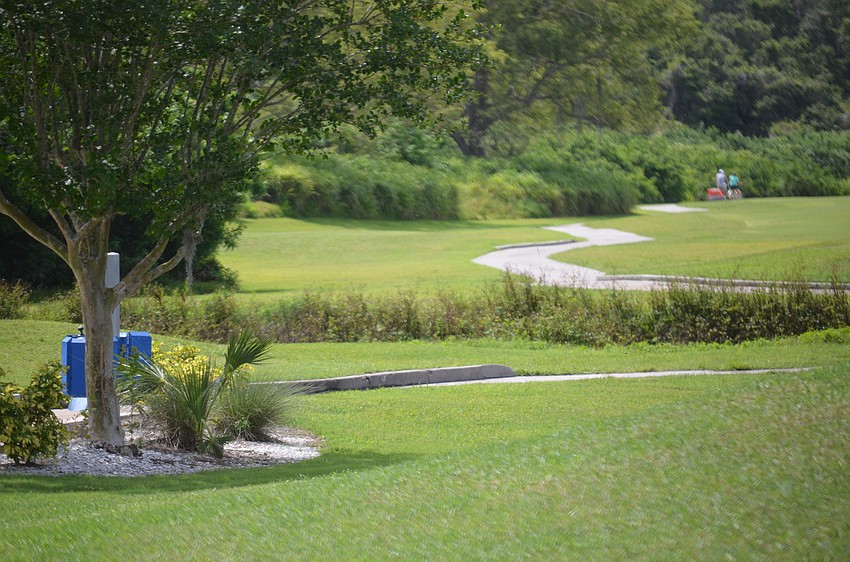A winding cart path.