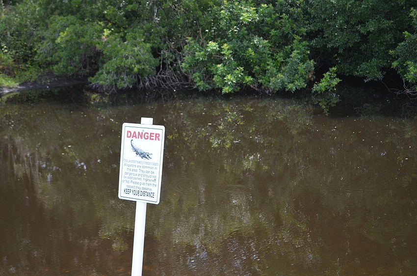 Wildlife, and alligators, are present on the course.