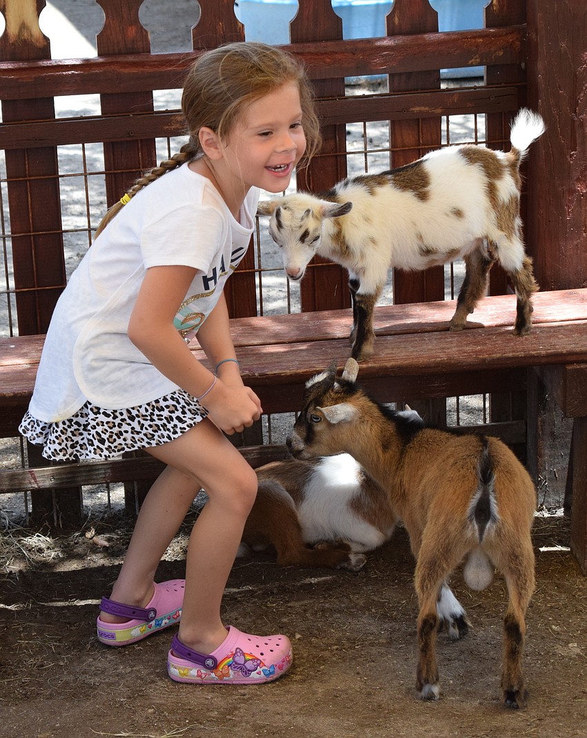 Lakewood Ranch 8-year-old Riley Hall has a fantastic time in the petting zoo.