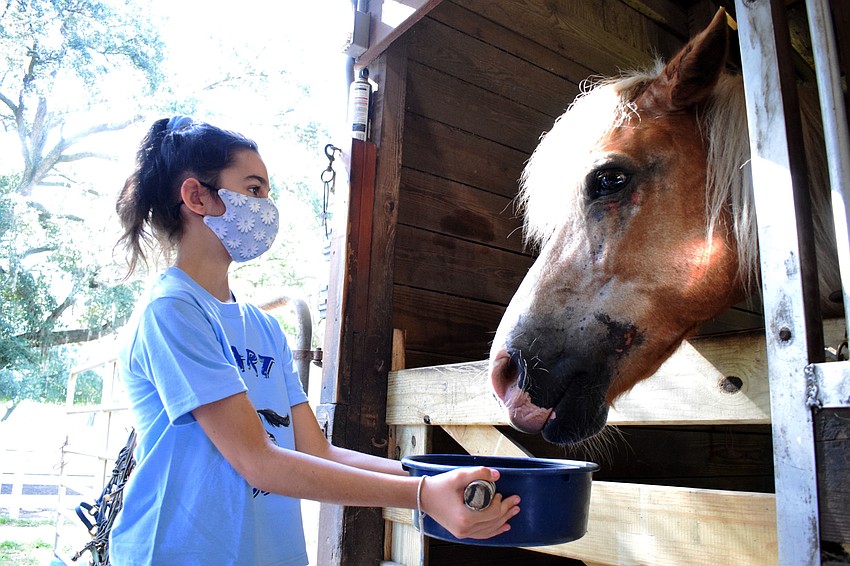 Alexis Mariano, who is 11 years old, feeds Norman. Mariano wanted to participate in the camp to have a fun activity to do with friends.