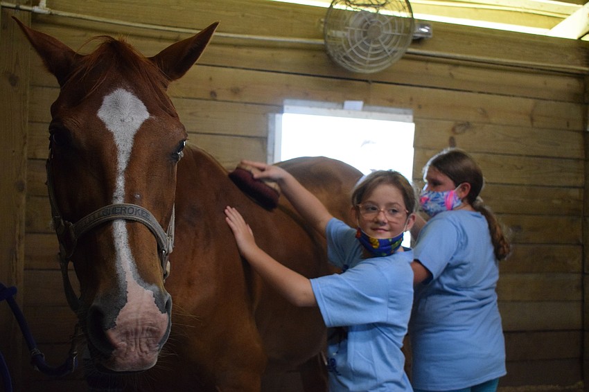 Campers Angela LeBouf, who is 9, and Gracie Gerling, who is 11, brush Cherokee before taking the horse out to ride.