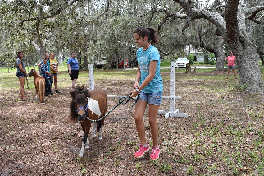 Katie Curulla, a 12-year-old camper, gives Perfection a treat after the mini horse successfully completes a low jump. Curulla enjoys training the mini horses to do tricks and complete obstacles.