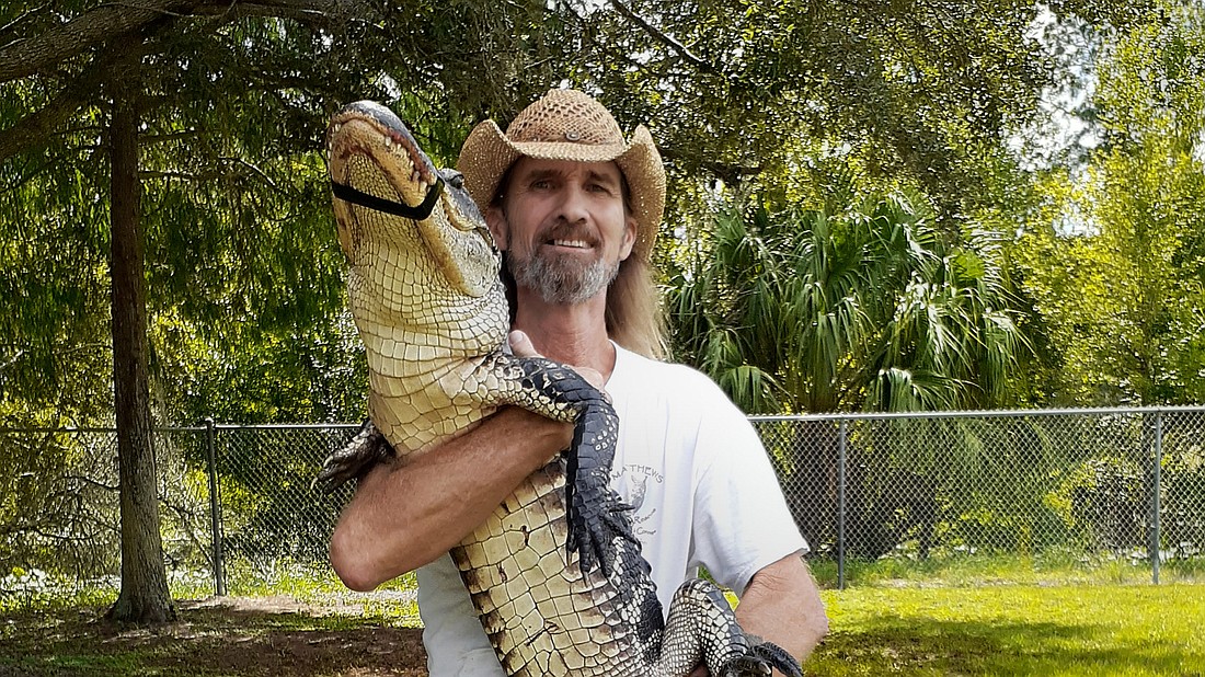 Justin Matthews said the alligator was about 7 feet long.