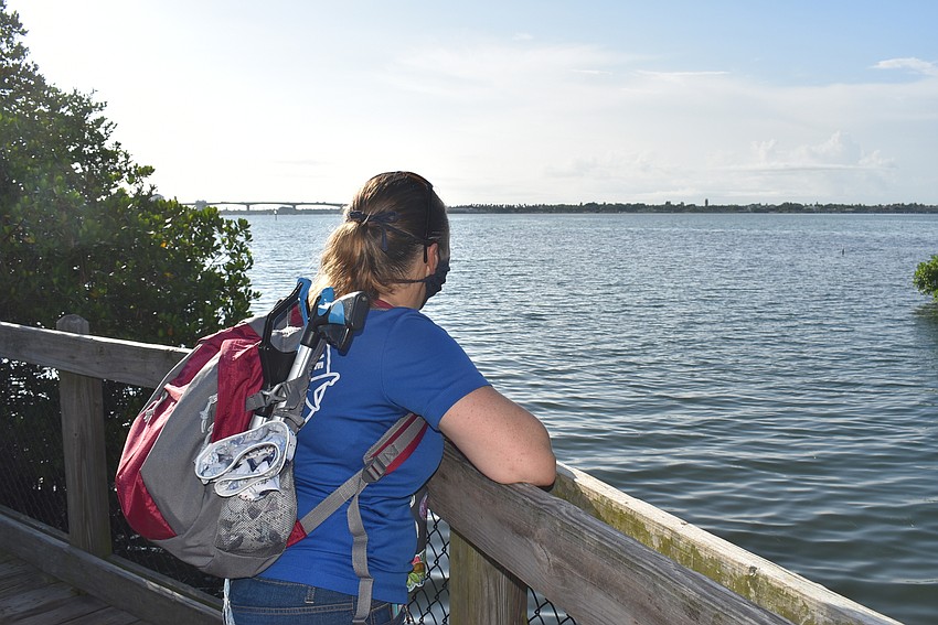 Elaine Wheaton takes groups to Sarasota Bay in the morning.