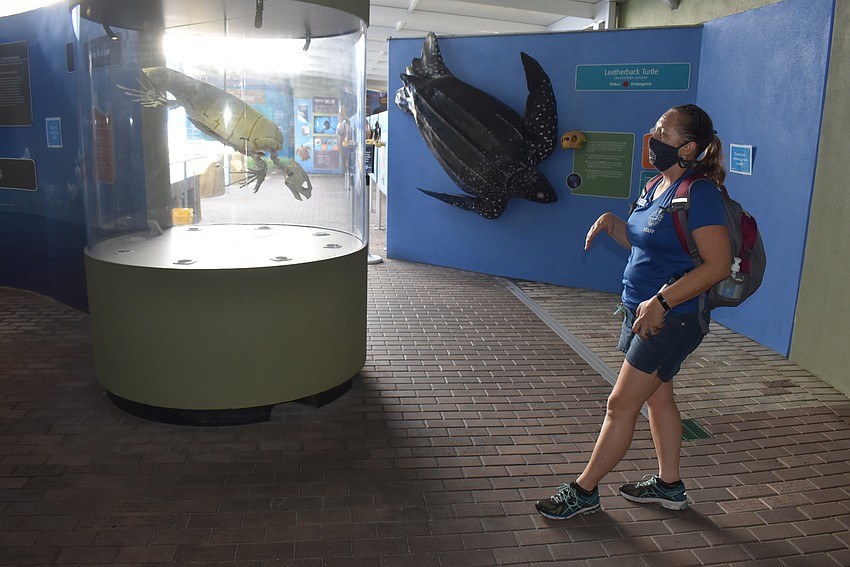 At Turtle Time, groups get to come behind the gates of Mote before it opens, which they're always excited about, Elaine Wheaton said.