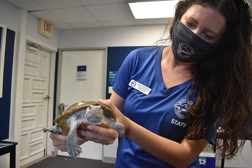 Dana Henderson leads adventurers through spa day with the terrapins.