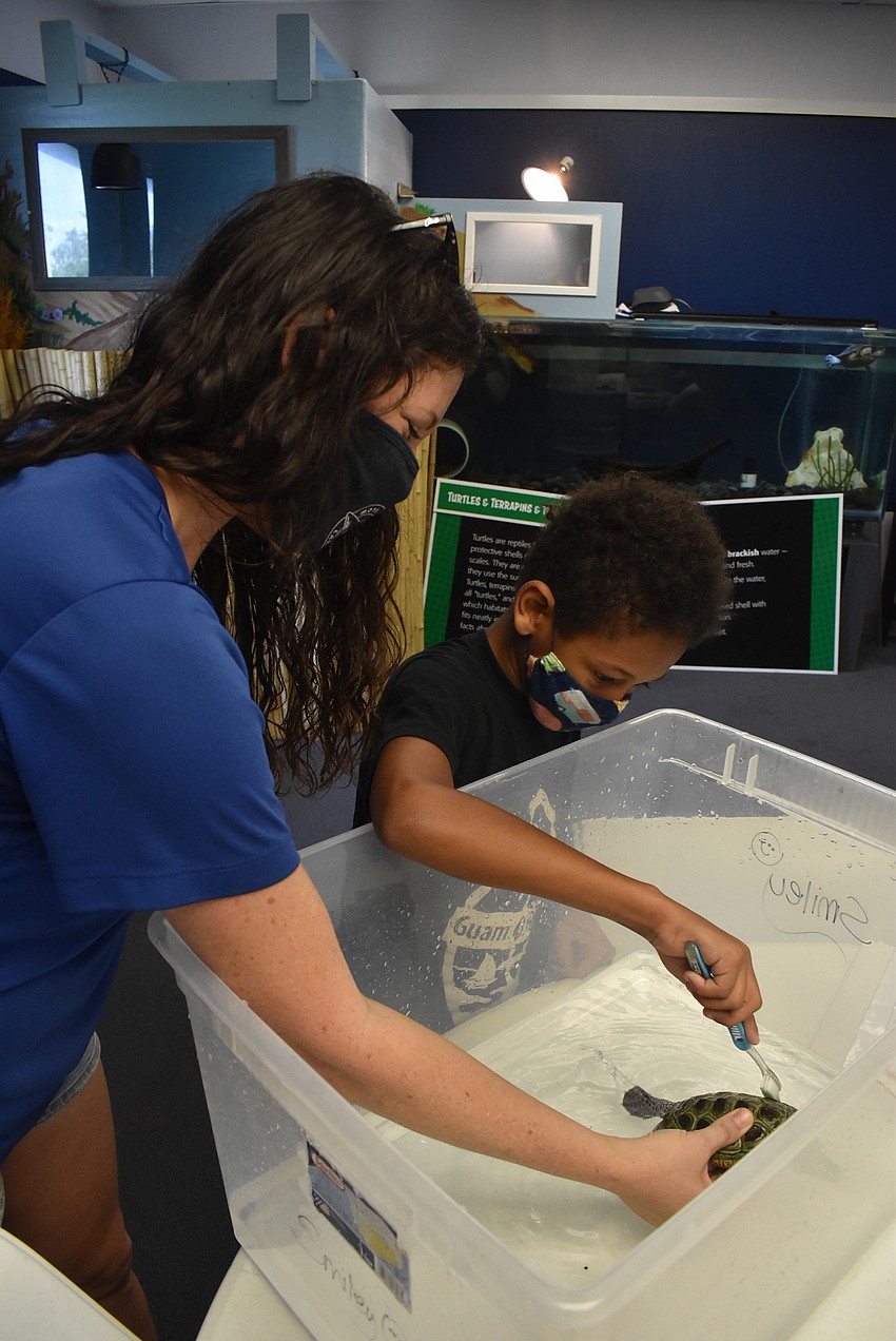 Dana Henderson supervises as Eli Wheaton scrubs algae from Smiley the terrapin's back.