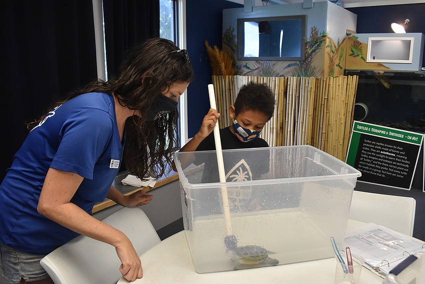 Eli Wheaton practices target training with Smiley. If the turtle touches the target, he gets food.