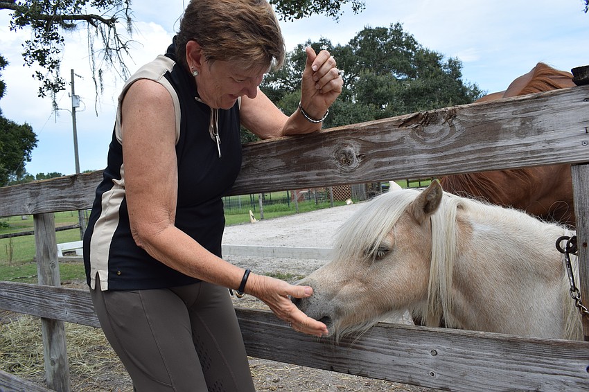 Deb Herbert feeds her miniature horse at her ranch in Myakka City.